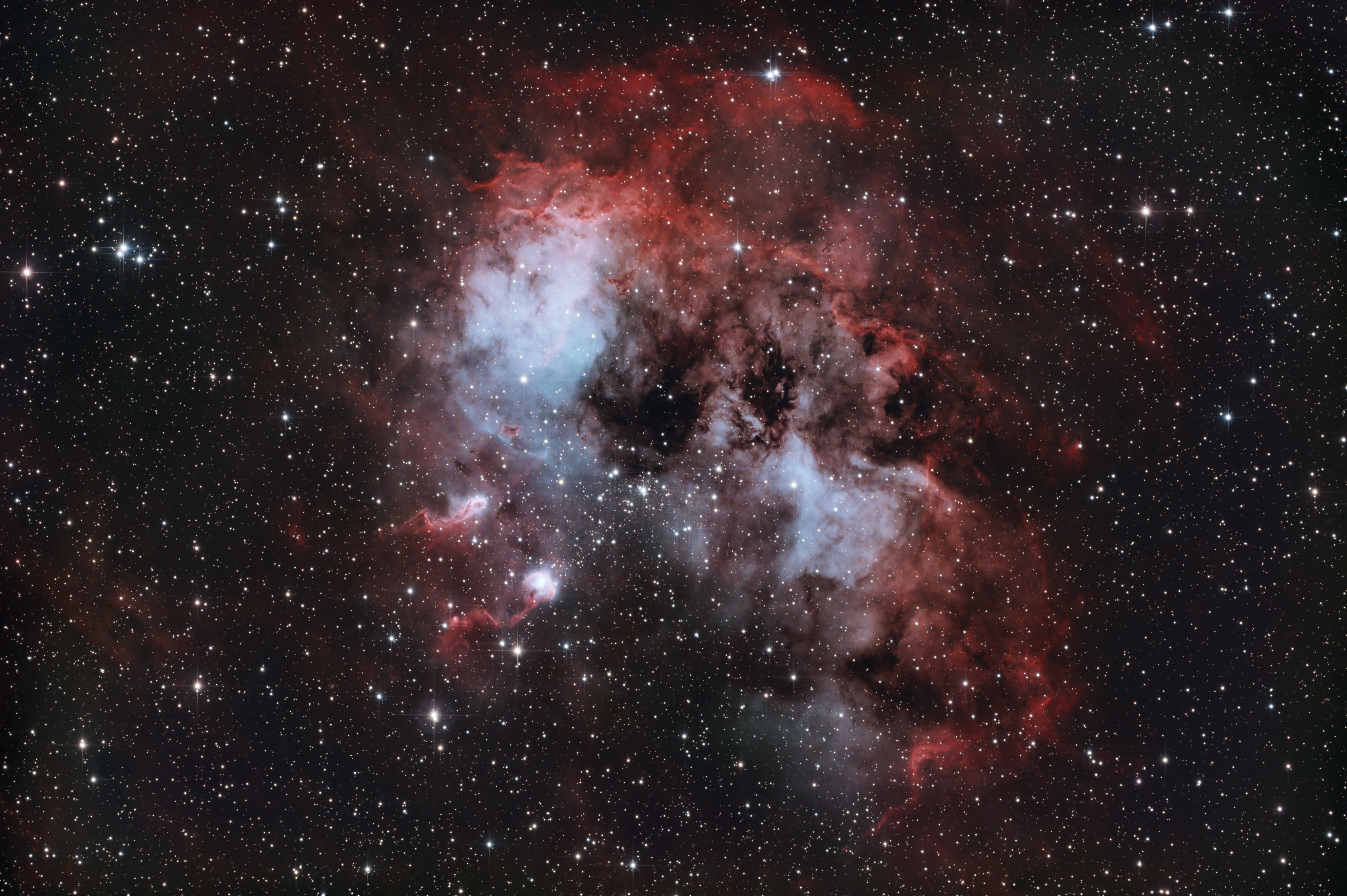 IC 410 The Tadpoles Nebula