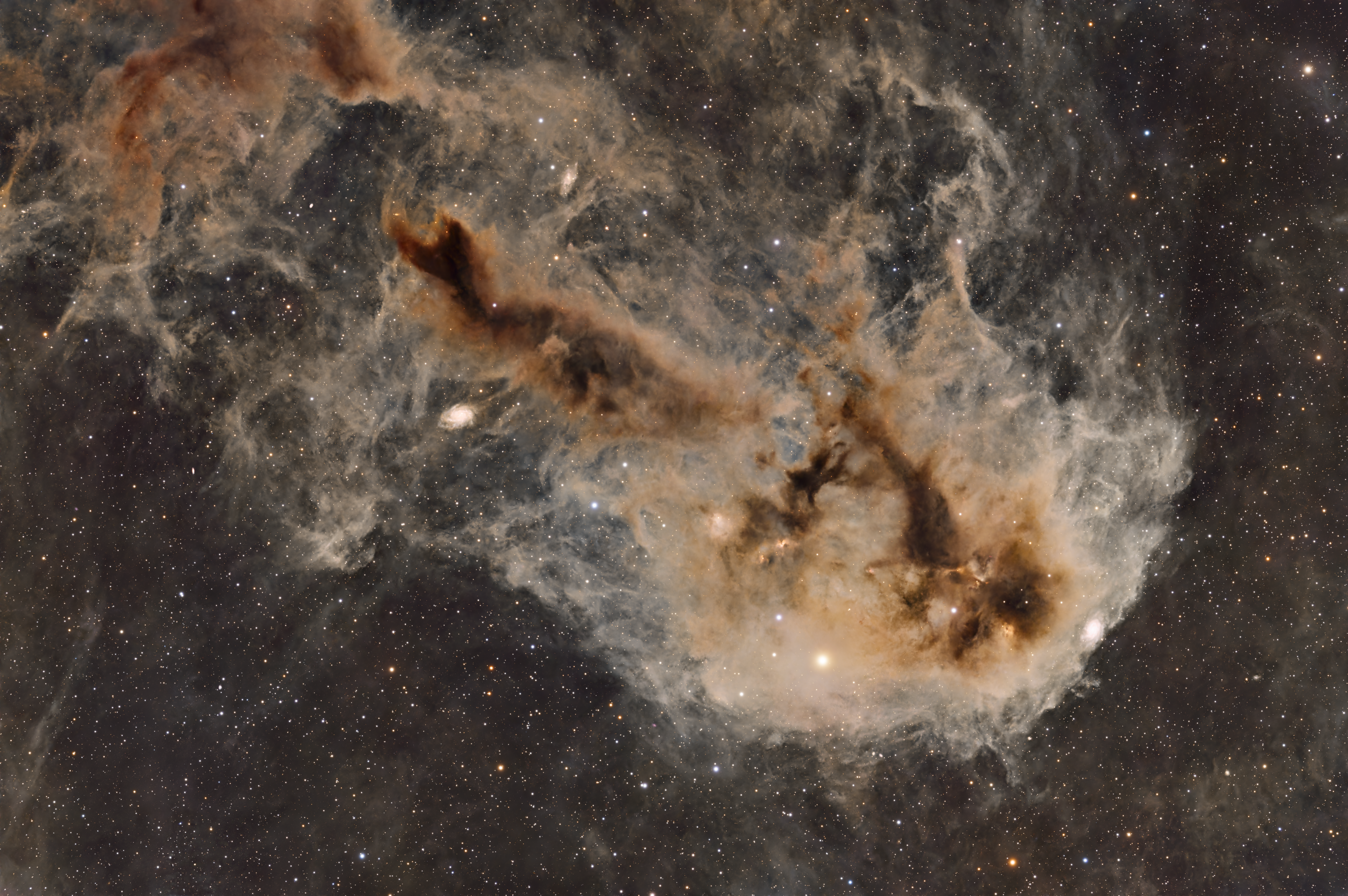 LDN 1251 - The Rotten Fish Nebula