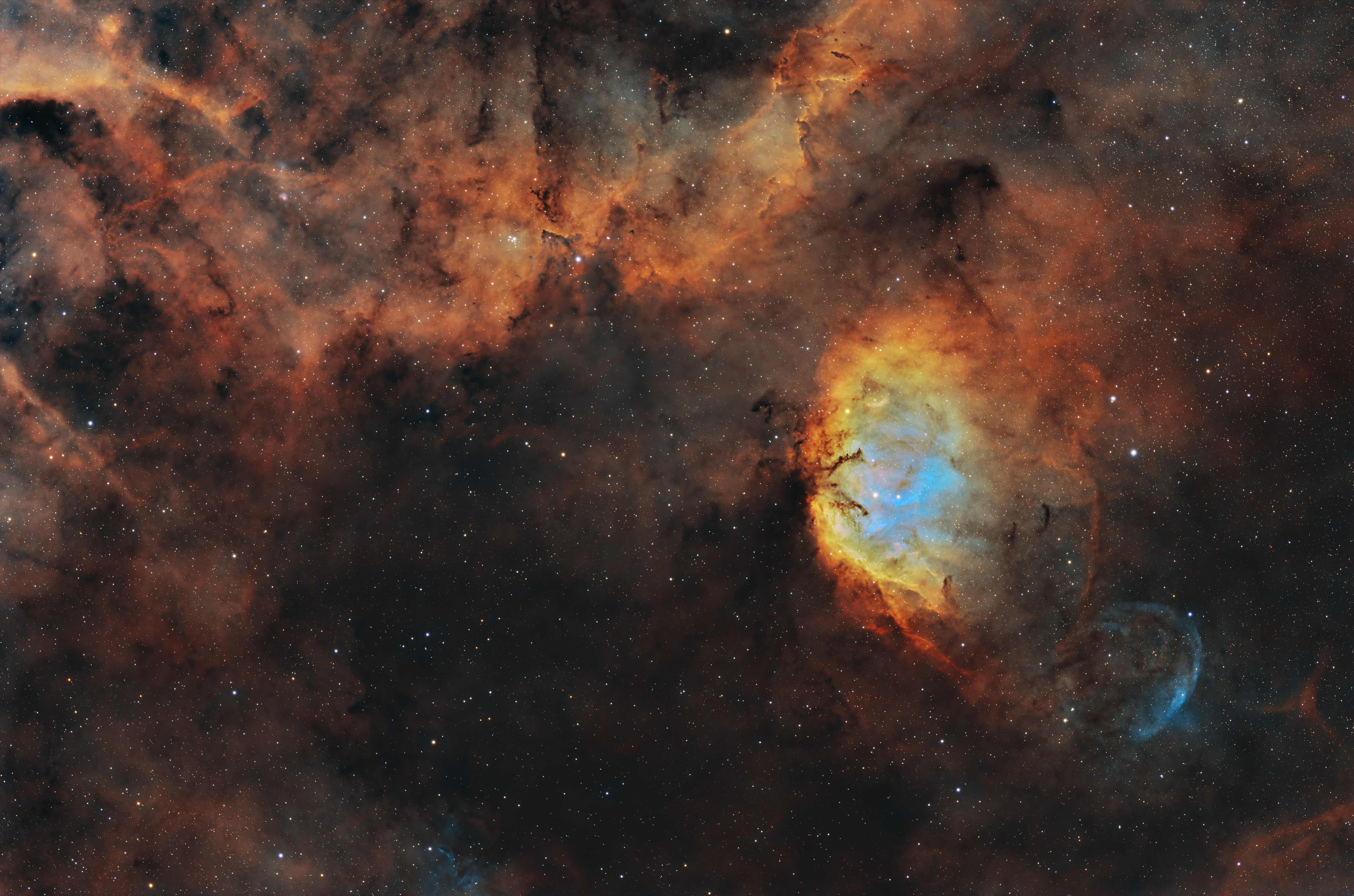 The Tulip Nebula SH2-101