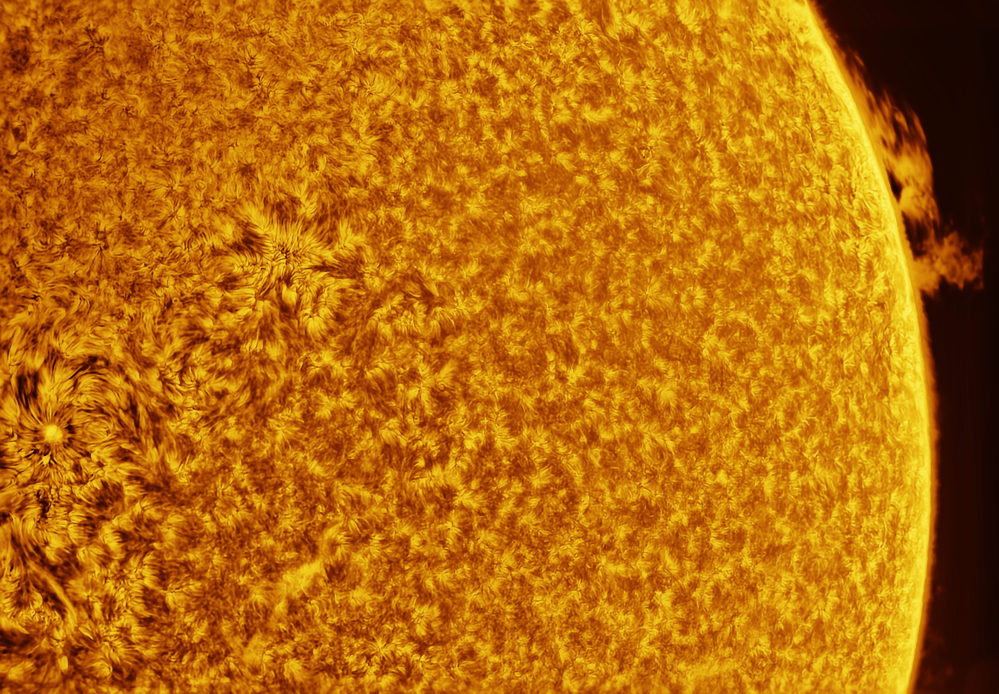 Sun Photo
