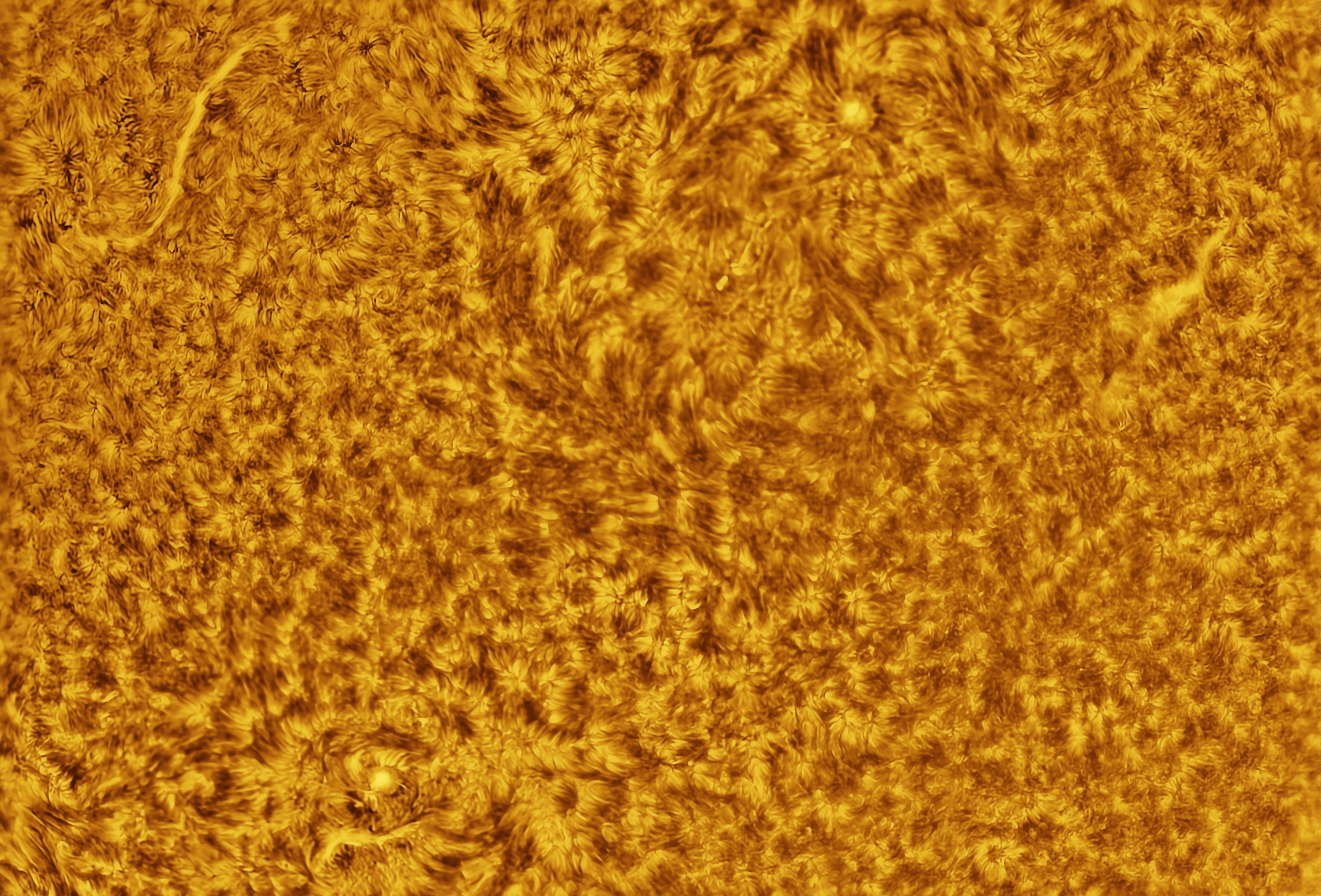 Sun Photo