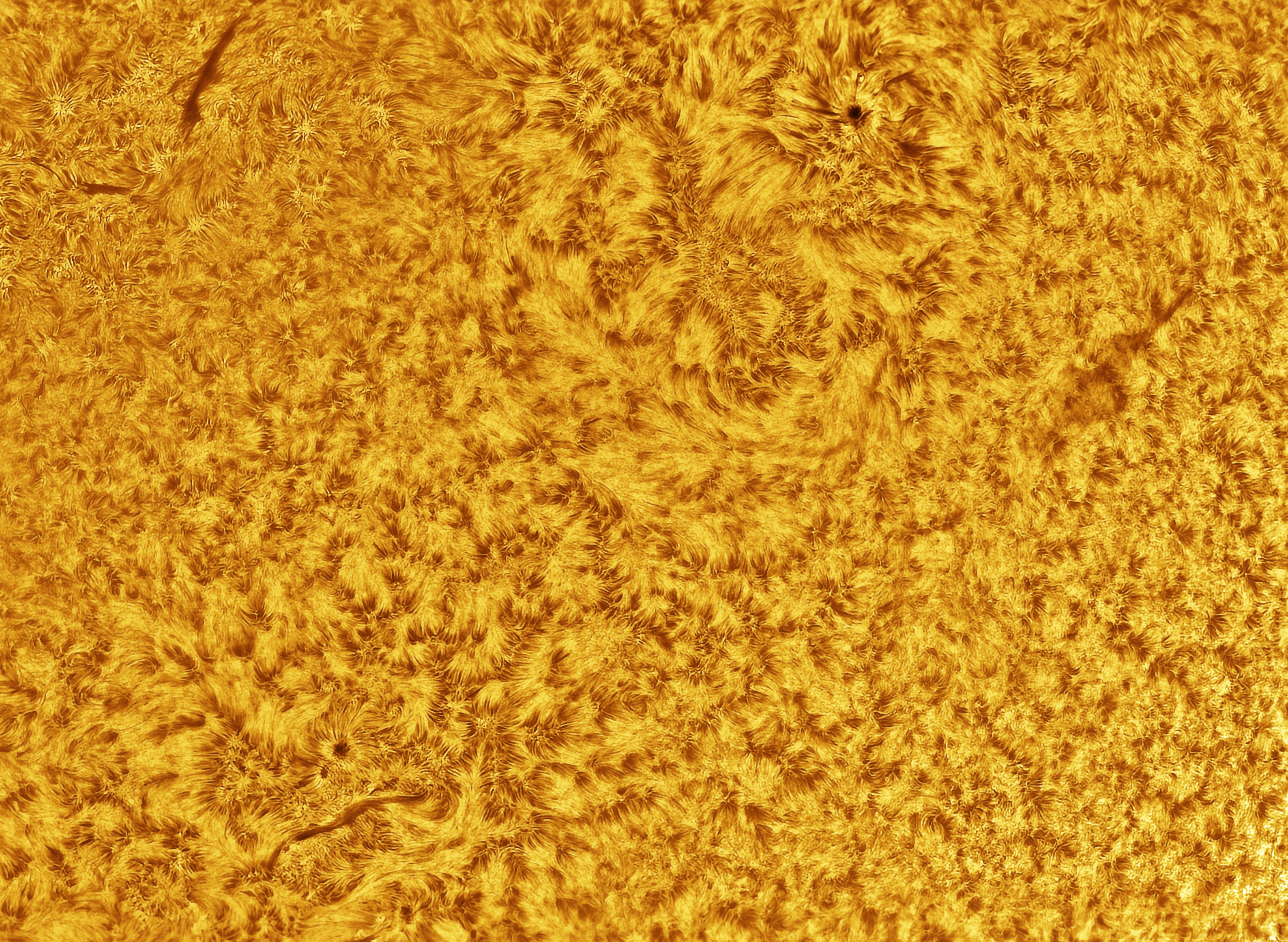 Sun Photo