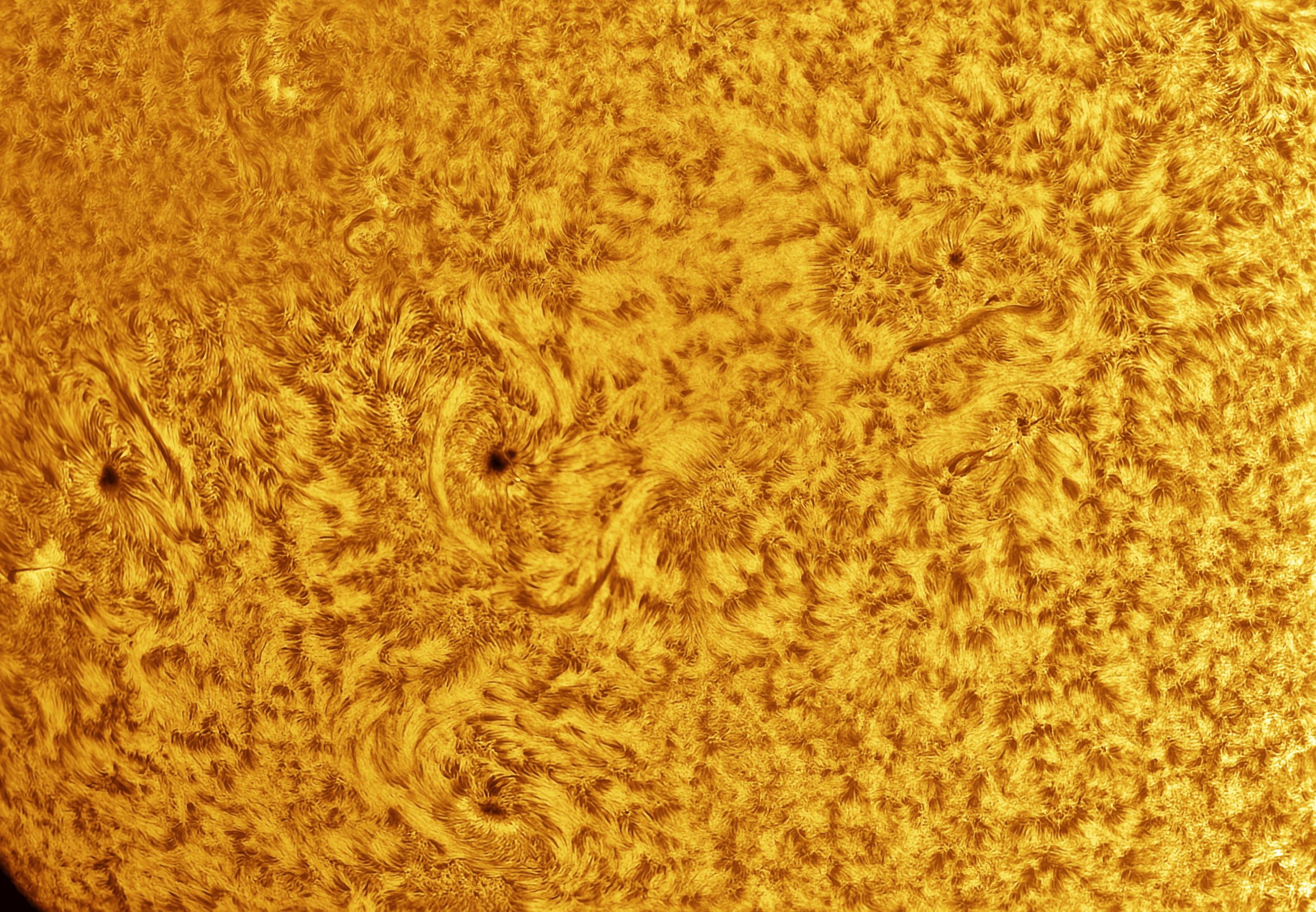 Sun Photo