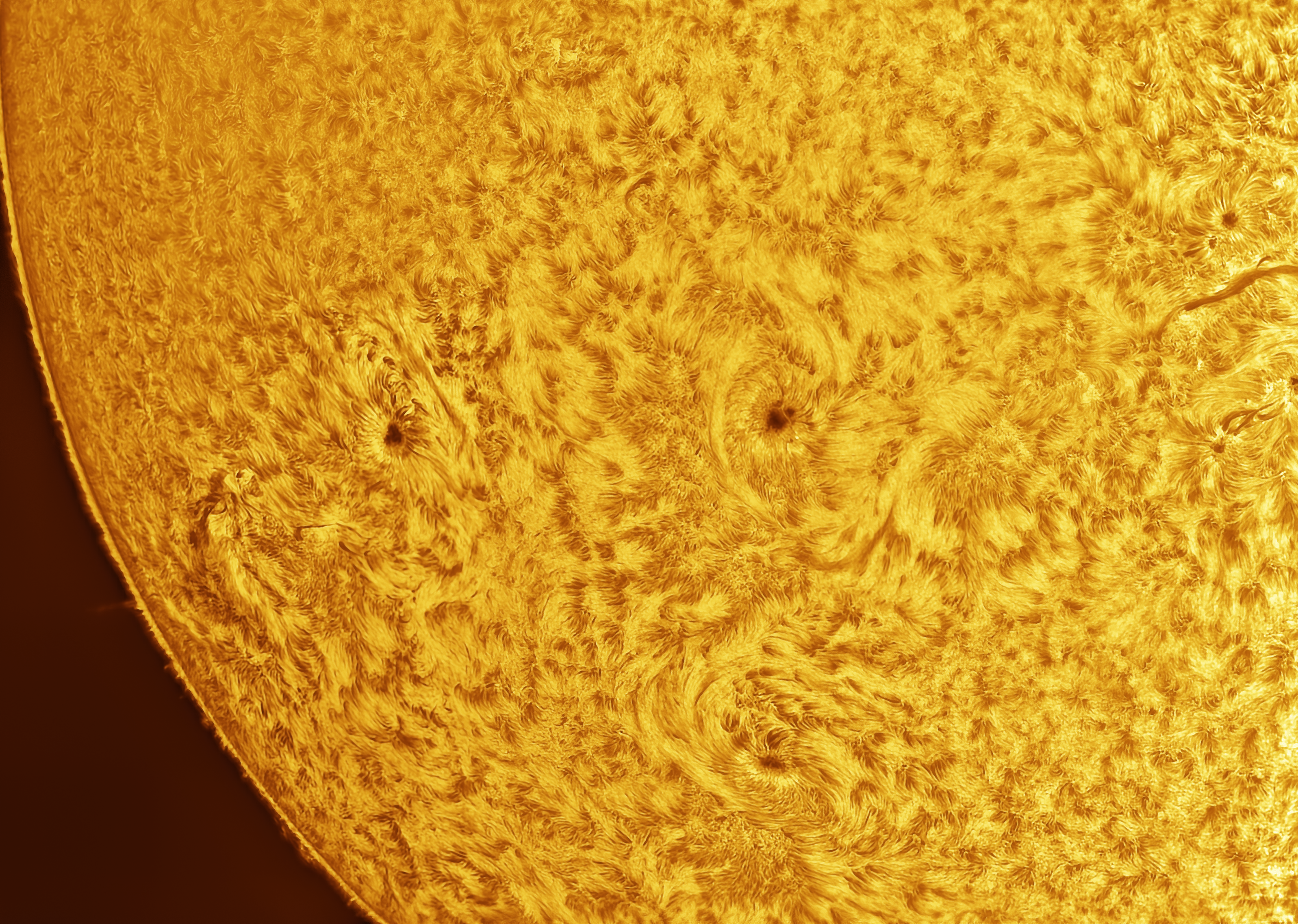 Sun Photo
