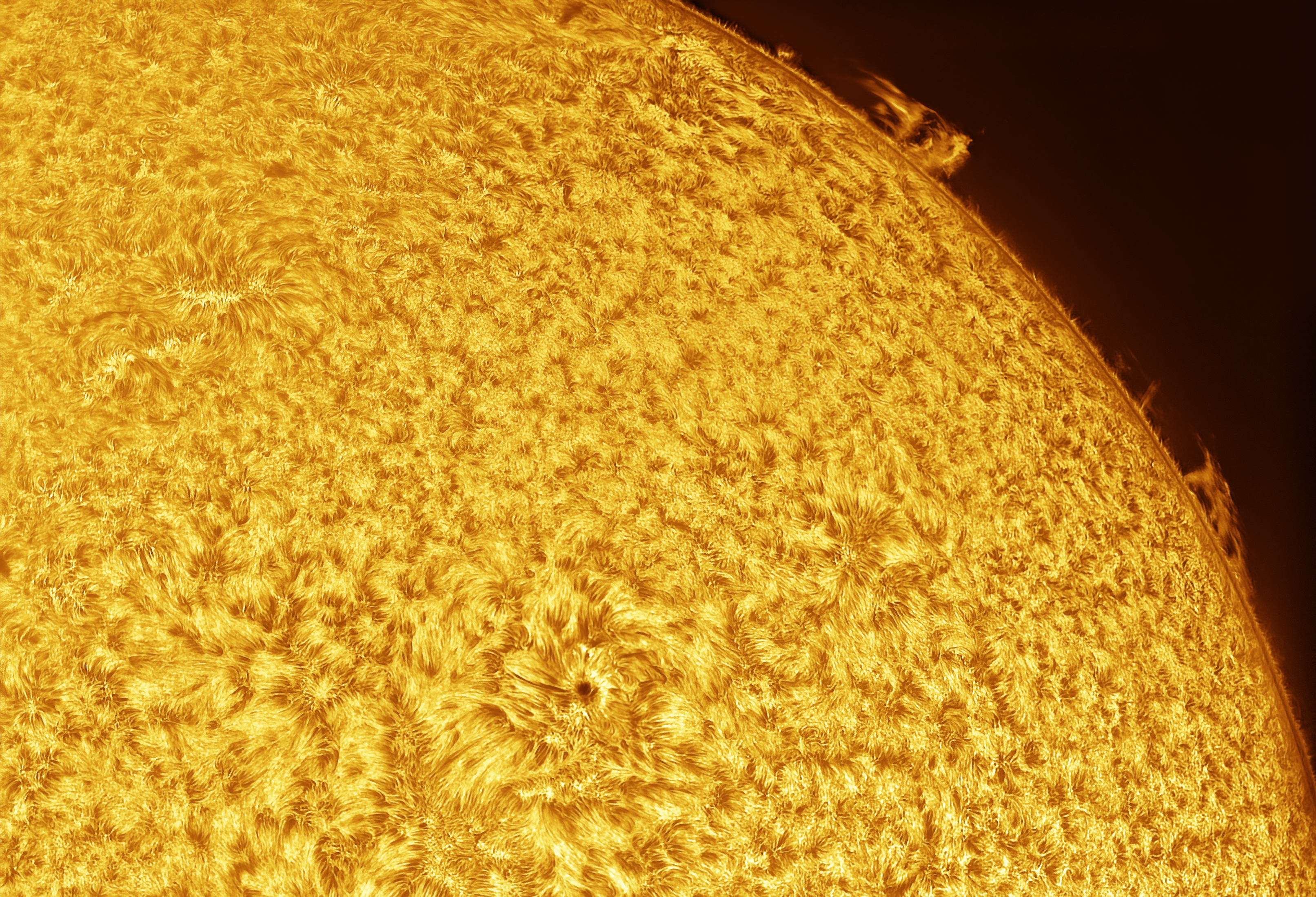 Sun Photo
