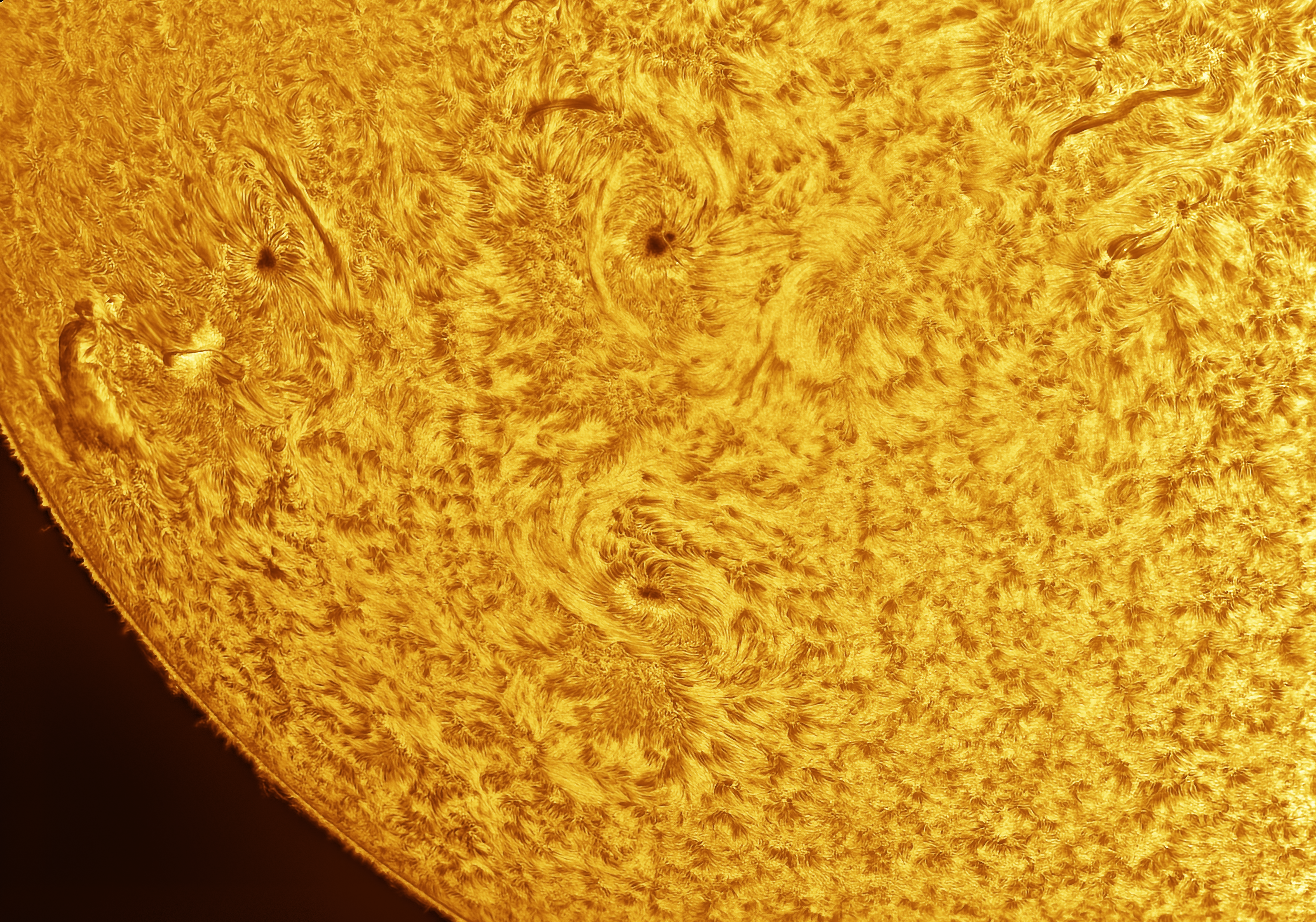 Sun Photo