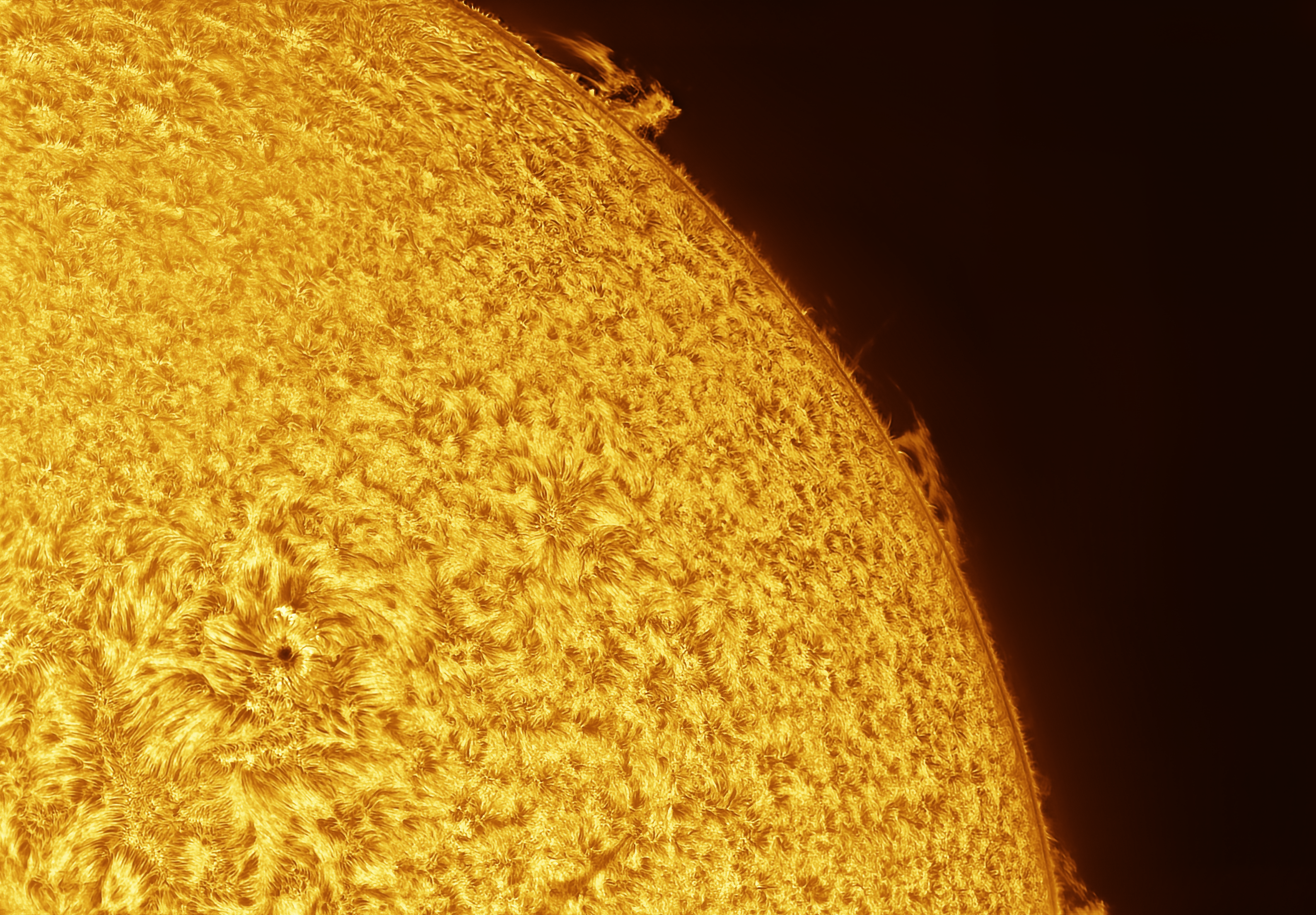 Sun Photo
