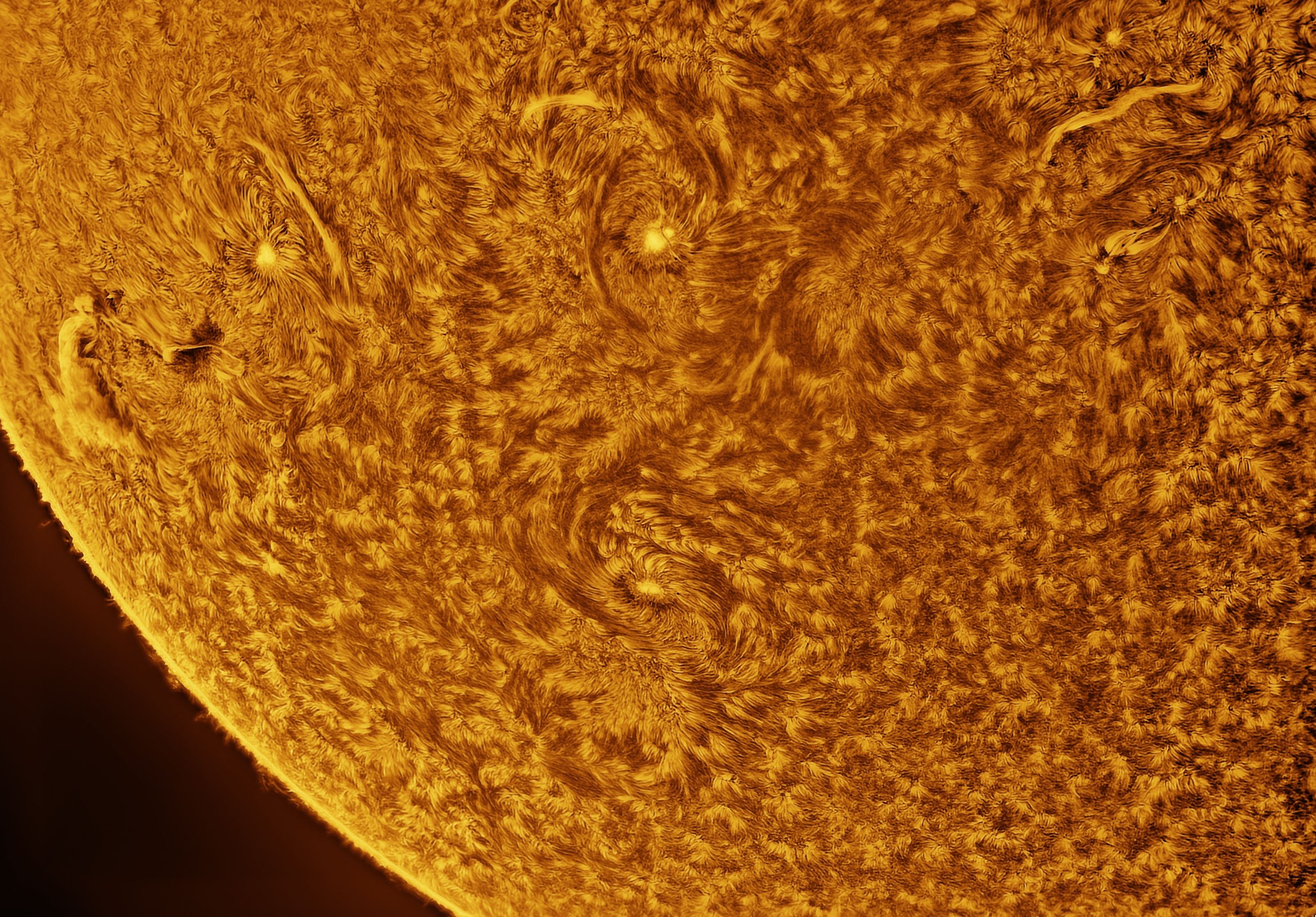 Sun Photo