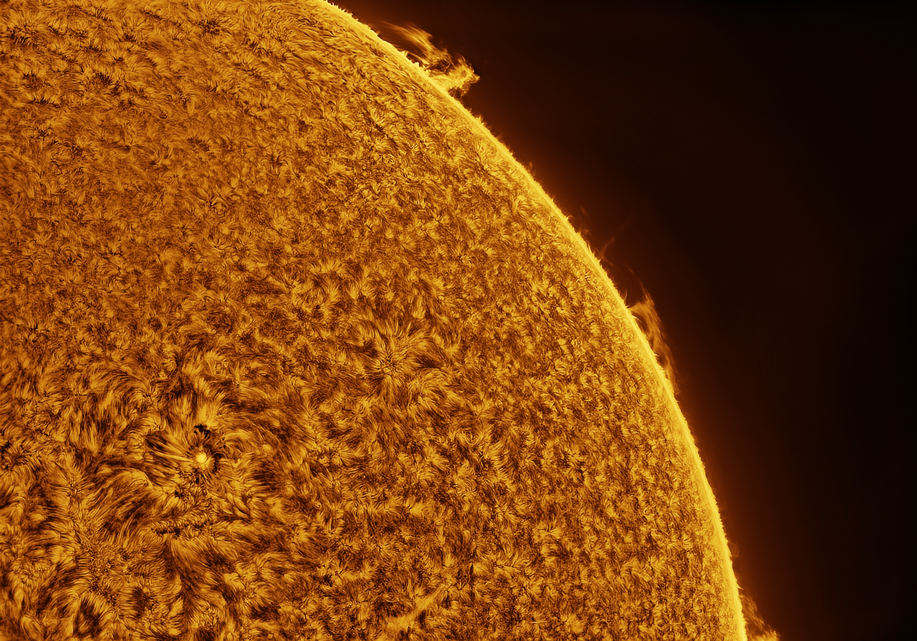 Sun Photo
