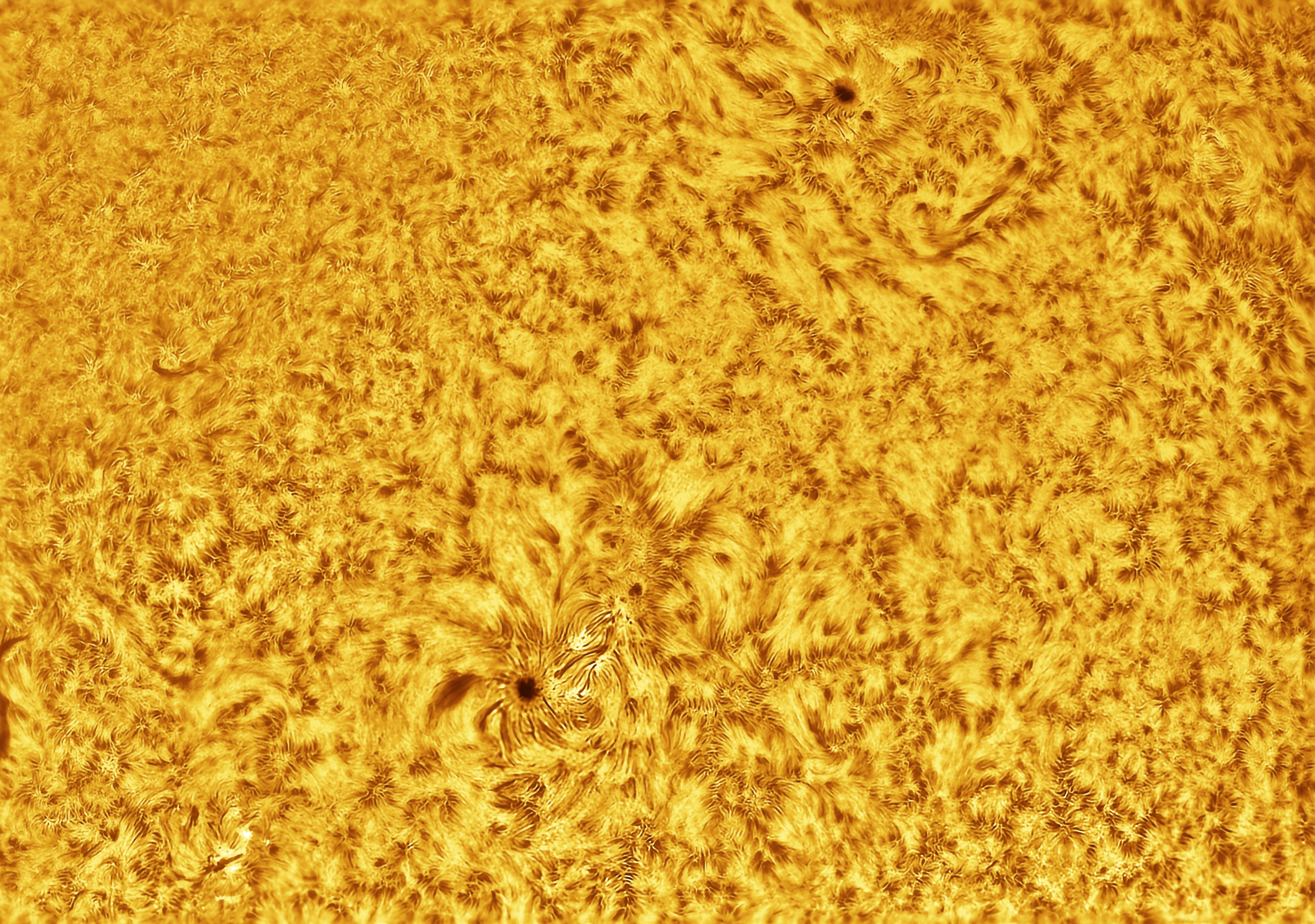 Sun Photo