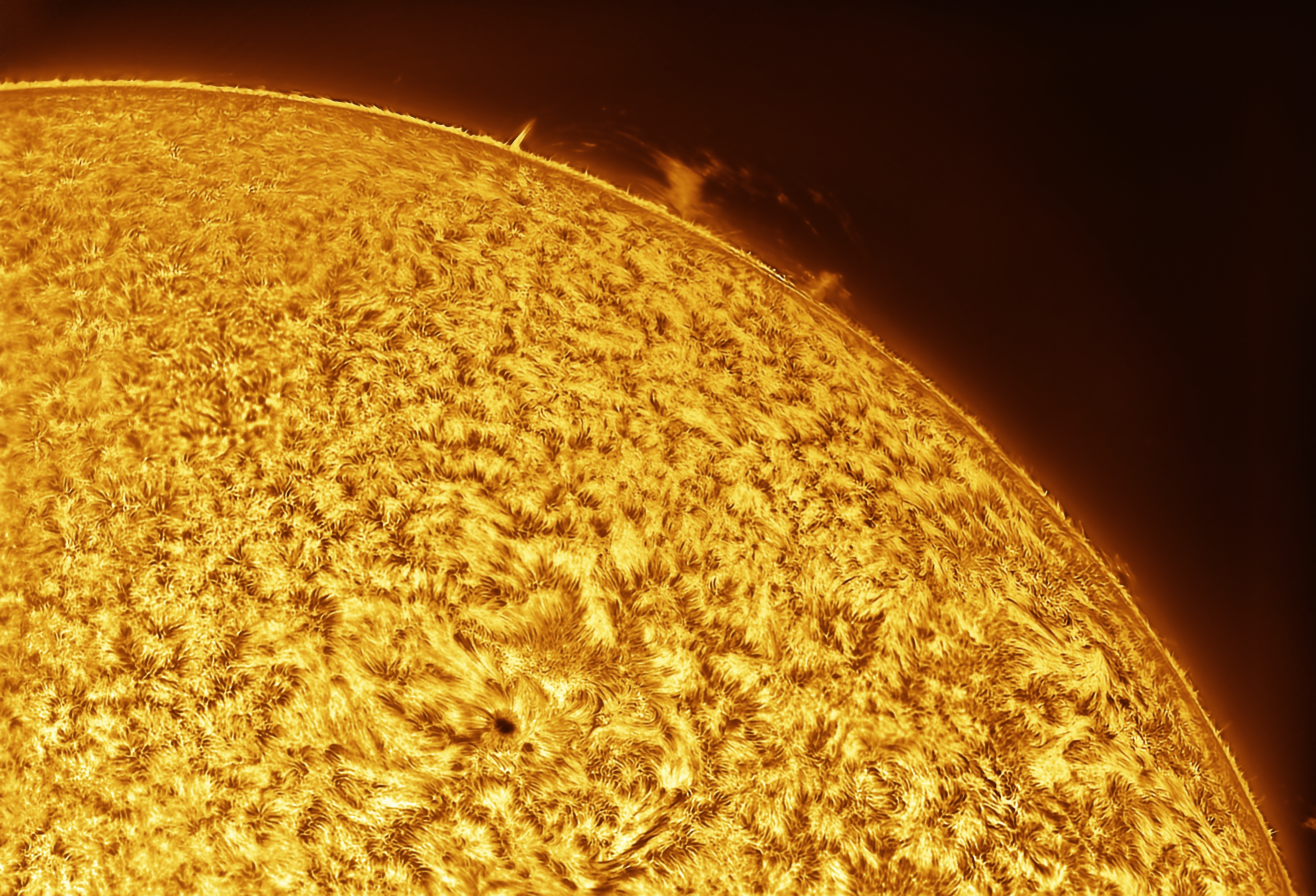 Sun Photo