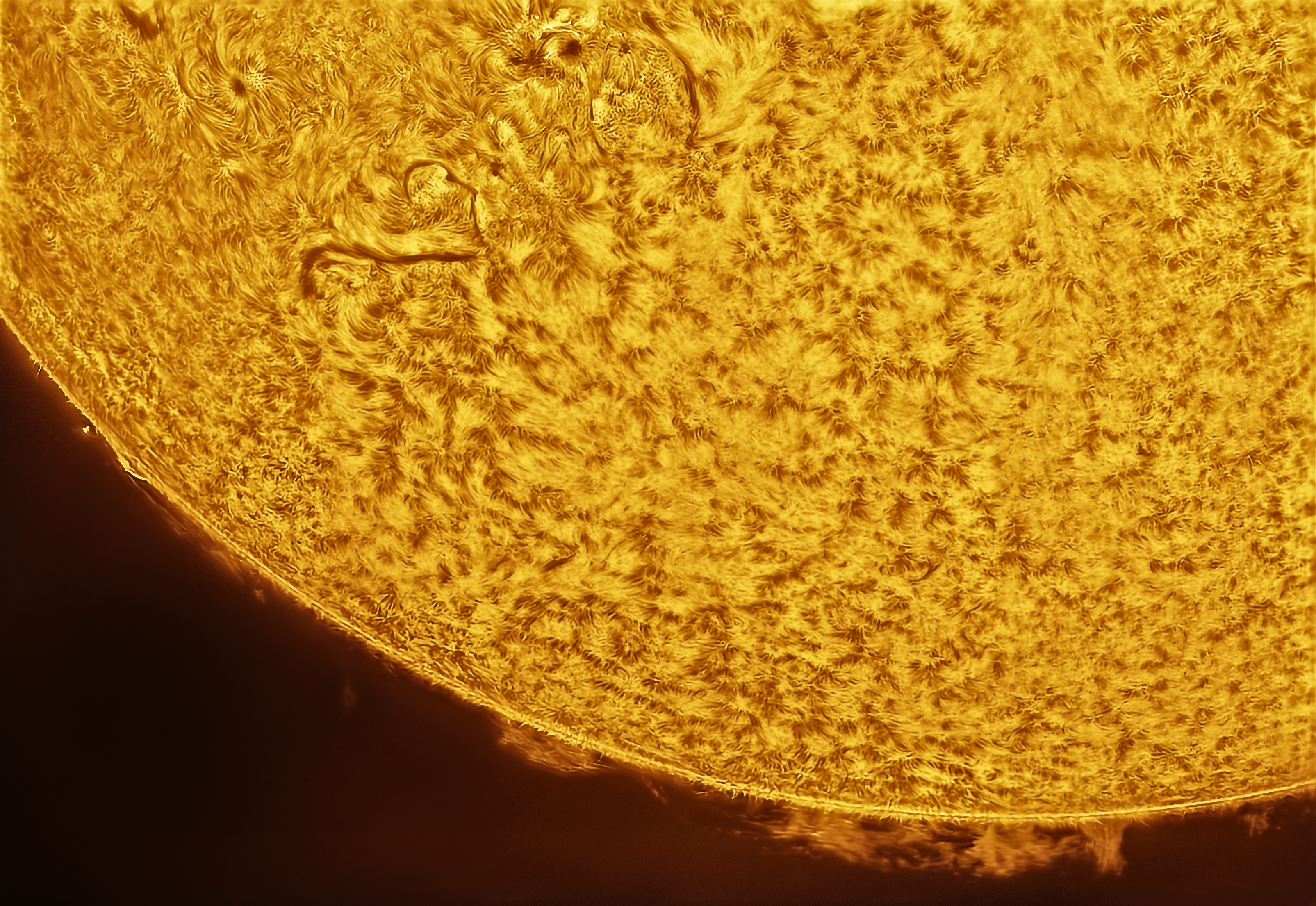 Sun Photo